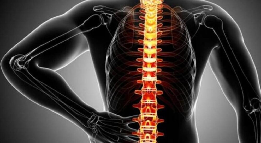 Tratamentos de Coluna Vertebral Fisioterapia